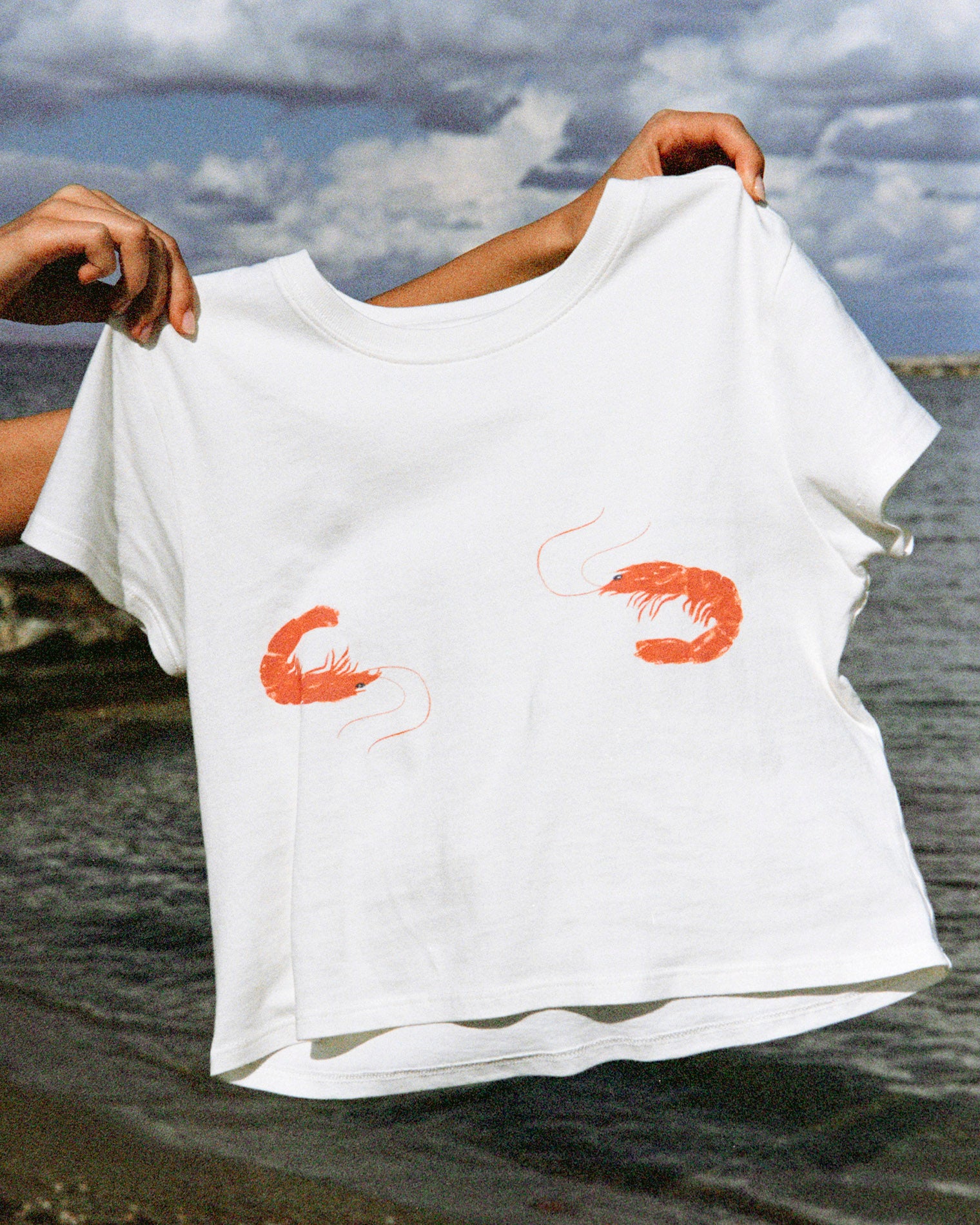 Merci Baby Tee - Shrimp Off-model view of the LSPACE Merci Baby Tee in Shrimp, held up outdoors near the ocean to display the white cropped silhouette and two coral-red shrimp graphic prints on the front.