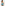 
LSPACE Zuri Bikini Top and Misha Bikini Bottom in electric blue cream, back view on model.
