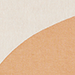 color swatch brush