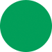 color swatch monstera