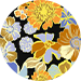 color swatch sugar-and-spice-floral