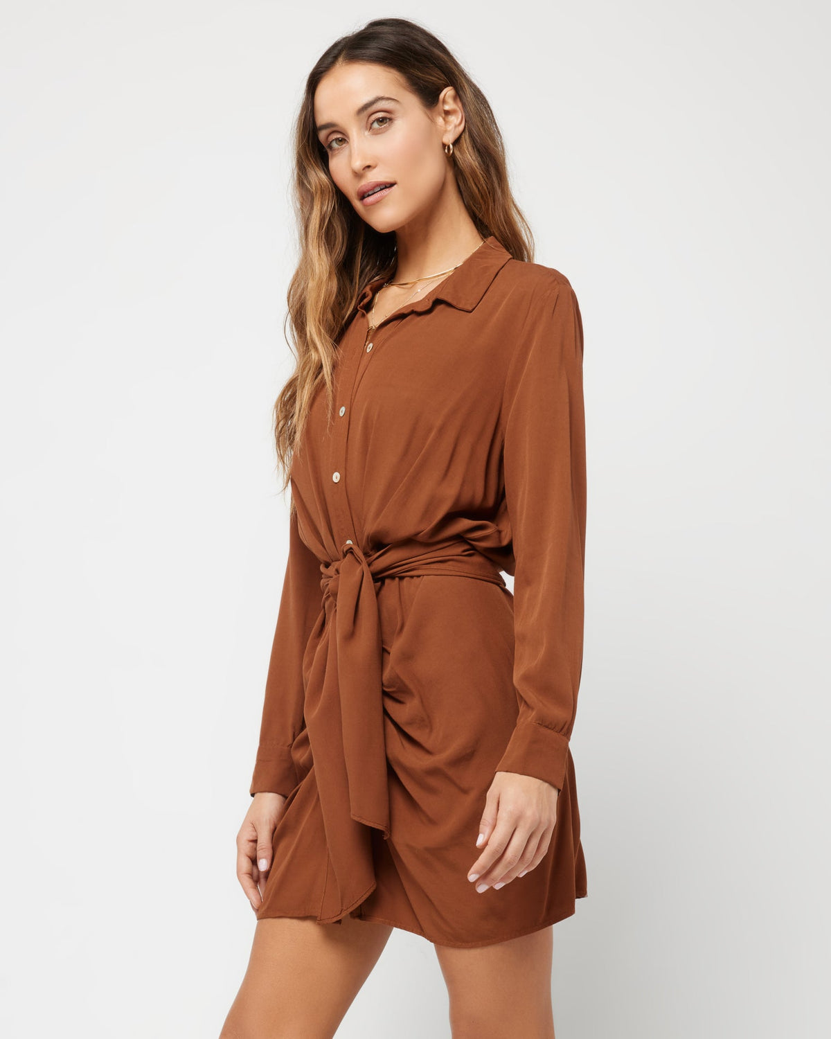 Aura Dress Coffee | Model: Anna (size: S)